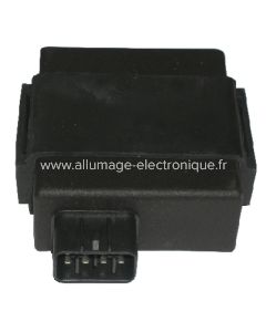 CDI  APRILIA SCARABEO 125/200 LIG-168251