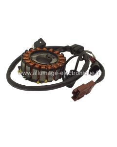 Stator alternateur DERBI GP1 LOW SEAT 250 EU3 250 (2007-2008) - Marque : HYP - Référence d'origine : 58070R