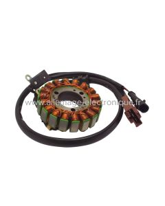 Stator alternateur MALAGUTI SPIDERMAX RS 500 (2008-2008) - Marque : HYP - Référence d'origine : 48202400