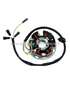 Stator alternateur DERBI GPR 2T EU2 50 (2009-2010) - Marque : HYP - Référence d'origine : 82852R - 847065