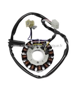 Stator alternateur BETAMOTOR RR 50 Enduro 50 (2003-2018) - Marque : BCR