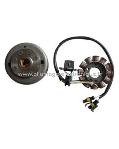 Stator alternateur + rotor HUSQVARNA TE TC 250 (2003-2014) 