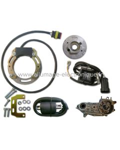 Kit allumage à rotor interne Maïco MC250/T - 068K154