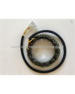 Alternateur stator Ducati Energia - G93