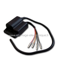 Bobine allumage SEM avec moteur 2 temps Aprilia - CD5005