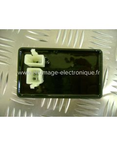 CD20201  - CDI Dazon: Raider 250cc (Bloc moteur Lifan)  Eagle Group: 200cc (Bloc moteur Lifan)  Lifan: Bloc moteur Lifan avec ces connecteurs