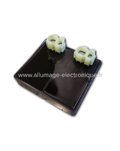 CDI boitier electronique pour moto Honda 750 XRV XRV750 Africa twin CI600 - CD1701