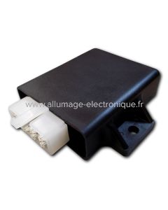 CDI Suzuki GSX250, GSX450E, GSX450S - CD2414D