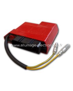CDI pour Suzuki RM-Z250 (2010-2012) - EC2201D