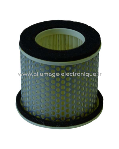 Champion Filtre à air V303