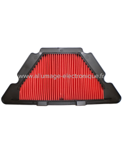 Champion Filtre à air CAF3615