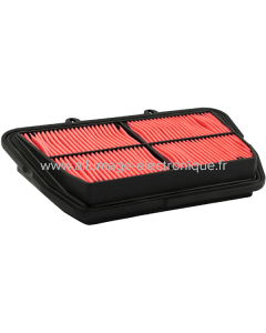 Champion Filtre à air CAF5501