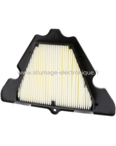 Champion Filtre à air CAF1920