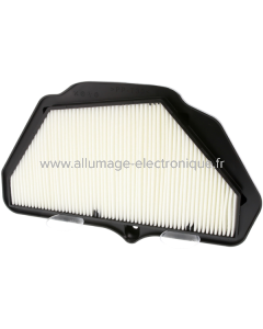 Champion Filtre à air CAF1921