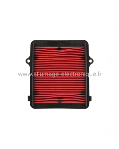 Champion Filtre à air CAF1609