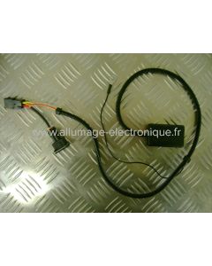 EFI009  - ENDURO  - APRILIA  - Aprilia: Pegaso 660 Strada/Trail (2005-2011)  BMW: 650 F GS (2000-2009) 