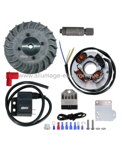 Kit allumage électronique Evok Iron Spark Vespa 50 Special-50 L/N/R-PK50-125/125 Primavera-125 ET3 Ø20 - VOLANO EXTRAIT DU PLEIN