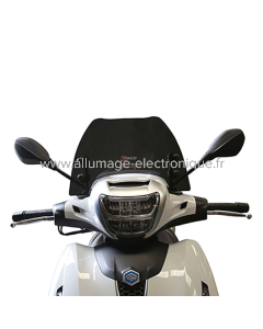 FACO Carénage Piaggio Beverly 300-400cc Hpe 29120