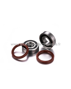 Kit roulement roue arrière TM Racing Factory Links