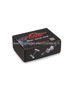 Kit roulement de roue arrière Factory Links pour TRIUMPH