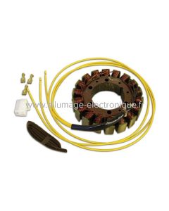 Stator Alternateur BMW F 650, F 800 - G14