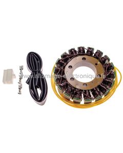Stator Alternateur Honda VFR400R (1994-1996), CB500 (1994-2002), CB500S Sport (1998-2002), CBF500 (2004-2006) - G53