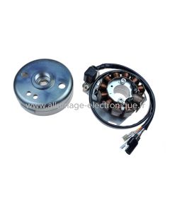 STK146 - Kit allumage + charge batterie 100 watts à rotor externe pour KTM 125, 200, 250 EXC, MXC, XC, XC-W (2002-2007) - 280, 380 SX (2002 - 2009)