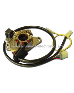 Stator allumage + eclairage pour moto Suzuki RM250 (96-00)