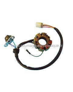 Stator allumage pour Suzuki RMZ250 (03 et +), RMZ450F(04-07) - ST2475