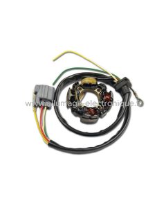 Stator d'allumage + eclairage pour moto kawasaki kxf 450 (2006 et + ) - ST3450L