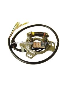 ST3811 -  Stator d'allumage  -  Kawasaki: KX80 (81-88), KX100 (81-88)