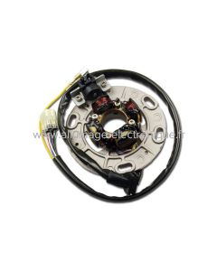 Stator d'allumage + eclairage complet  Yamaha 125 YZ (96-04) - ST4138L