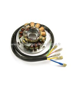 Stator d'allumage + eclairage, remplace le stator SEM Husqvarna avec platine 110mm - ST5051L