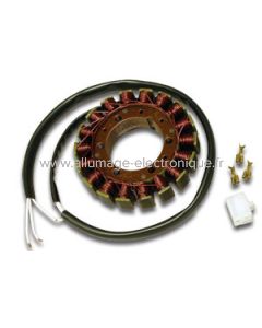 Stator Alternateur Allumage SUZUKI - RF400 (1993), VS600 Intruder (1995), VS700 Intruder (1986-1987), VS750 Intruder (1985-1991), VS800 Intruder (1992-1995), VL1500 Intruder (1998-2004) - G07