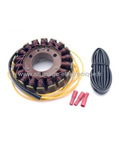 Stator Alternateur SUZUKI GSX750/E/ES/EF, XN850, GS1000GL/GT, GSX1000E, GS1100/G, GSX1100E/EF/ES - G02
