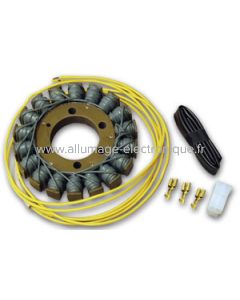 Stator Alternateur Honda VFR400R (1994-1996), CB500 (1994-2002), CB500S Sport (1998-2002), CBF500 (2004-2006) - G53