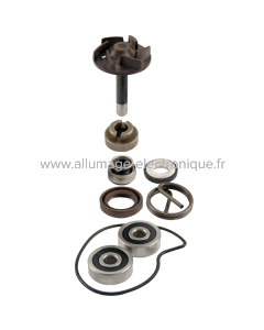 Kit de réparation pompe à eau RMS Piaggio Beverly 250cc 2004/2005