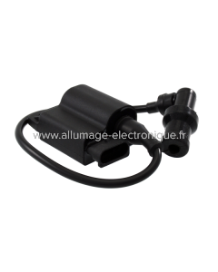 Boitier électronique RMS Piaggio 50cc 4T