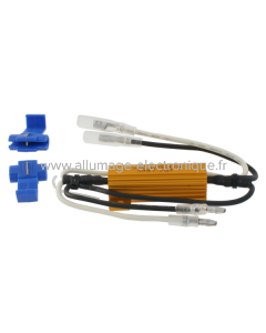 Résistance efficace