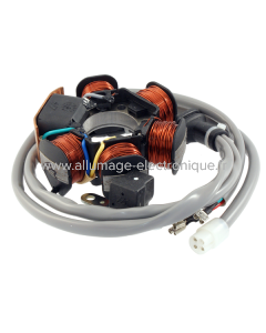 Stator RMS Piaggio Sfera/Free/Zip 50cc