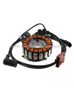 Stator RMS Piaggio 125-250-300cc