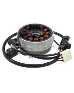 Volant moteur complet RMS Piaggio Vespa Lx 125-150cc 2010/2014