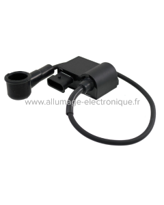 RMS Classic Unité électronique Piaggio Vespa Px 125-150cc 642443