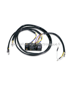 Interrupteur d'éclairage RMS Classic Piaggio Vespa Px 125-150cc/Pe 200cc 215668