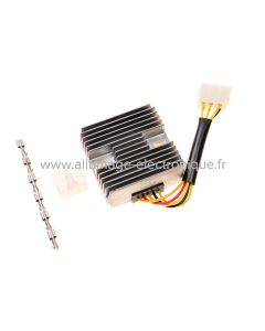 Regulateur rectifieur suzuki UC125 Epicuro, UH125 Burgman, UC150 Epicuro, UH150 Burgman, AN250 Burgman, DR250R, DR-Z250, RGV250 Gamma, TS250 Savage - RR20
