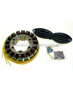 Stator Alternateur Allumage pour Aprilia 1000 Caponord, RSV1000, RST1000, SL1000 - G815