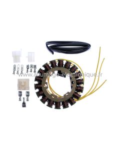 Stator alternateur pour Honda SWT 400 FJS600 Silverwing SWT (2001-2007), FSC600 Silverwing (2002-2010), CBR900RE (2001), CBR900RR Fireblade (2000-2001), CBR929RR Fireblade (2000-2001) - G89