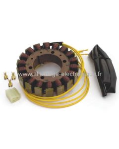 Stator Alternateur Honda VTR1000 Firestorm (1997 - 2006) - G110