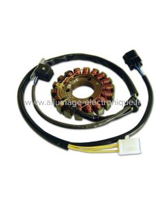 Stator Alternateur  Kawasaki KLX400R - 400 KLXR (2003-2004), KLX400SR (2003-2004) - G318