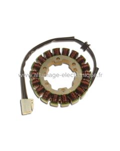 Stator Alternateur pour moto Triumph TT600 - Speed four - 600 Daytona - G660